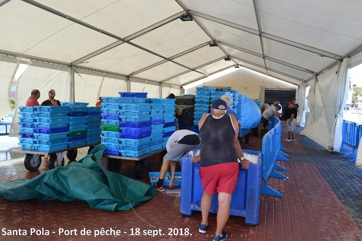 11 SANTA POLA PORT DE PECHE (47).JPG